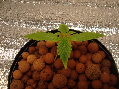 DSC00482.JPG DSC00482.JPG