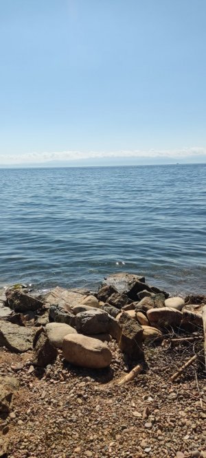 IMG_20230811_113723.jpg IMG_20230811_113723.jpg