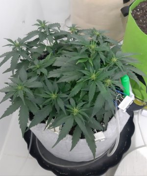 20230812_105037.jpg 20230812_105037.jpg