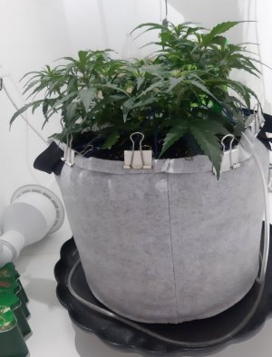 20230812_112243.jpg 20230812_112243.jpg