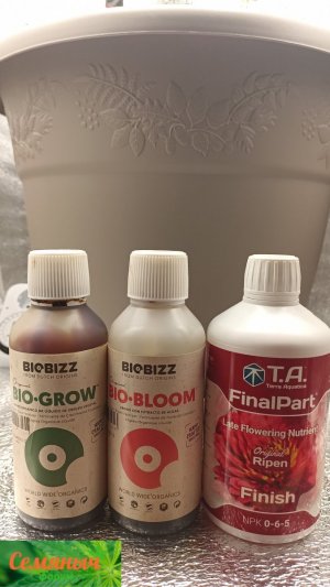 Picsart_23-08-11_14-03-48-810.jpg Picsart_23-08-11_14-03-48-810.jpg