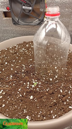 Picsart_23-08-09_11-36-24-214.jpg Picsart_23-08-09_11-36-24-214.jpg