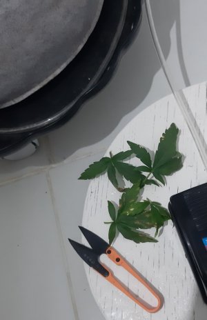 20230614_194016.jpg 20230614_194016.jpg