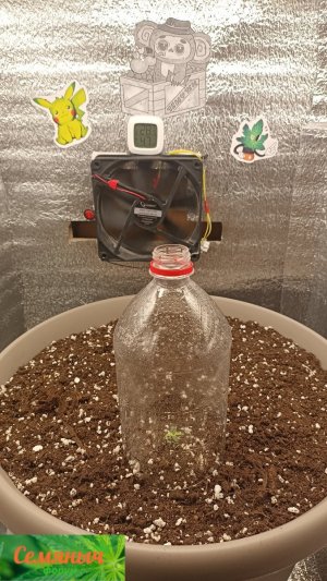 Picsart_23-08-10_07-40-04-405.jpg Picsart_23-08-10_07-40-04-405.jpg