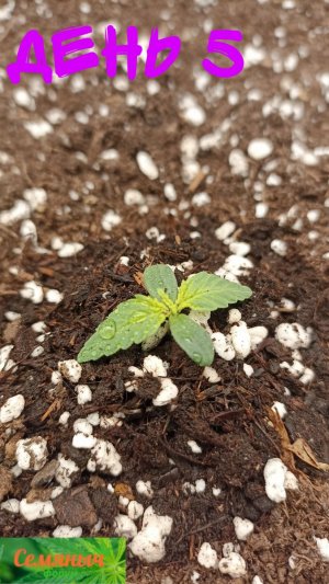 Picsart_23-08-11_14-11-27-873.jpg Picsart_23-08-11_14-11-27-873.jpg