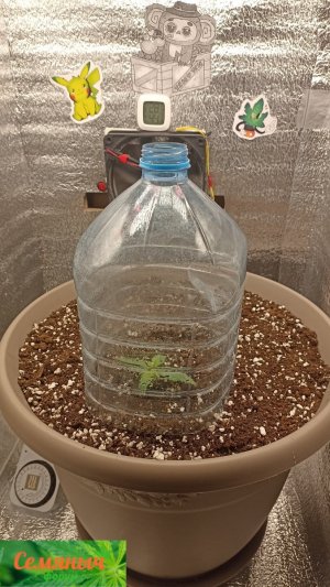 Picsart_23-08-16_07-30-37-599.jpg Picsart_23-08-16_07-30-37-599.jpg