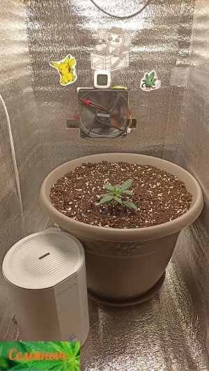 Picsart_23-08-20_07-40-52-433.jpg Picsart_23-08-20_07-40-52-433.jpg