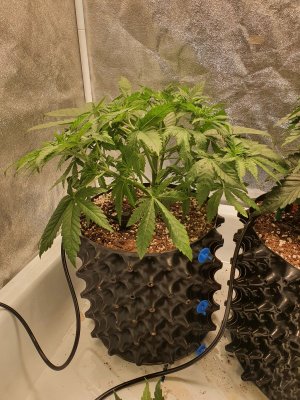 20230610_113815.jpg 20230610_113815.jpg