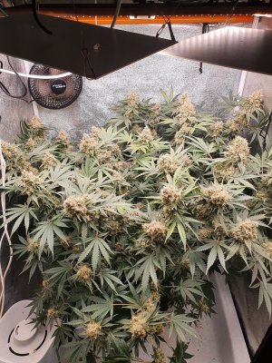 20230811_200113.jpg 20230811_200113.jpg