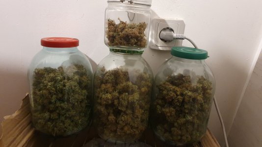 20230820_211019.jpg 20230820_211019.jpg