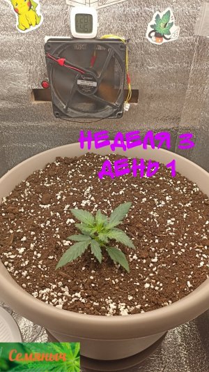 Picsart_23-08-21_07-42-38-146.jpg Picsart_23-08-21_07-42-38-146.jpg