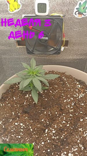 Picsart_23-08-26_07-39-30-169.jpg Picsart_23-08-26_07-39-30-169.jpg