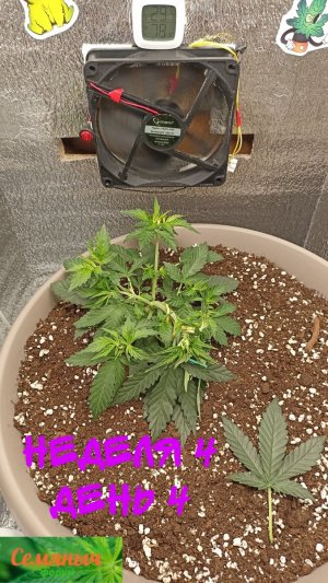 Picsart_23-08-31_08-02-58-861.jpg Picsart_23-08-31_08-02-58-861.jpg