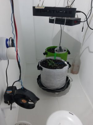 20230907_192440.jpg 20230907_192440.jpg