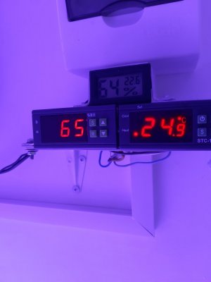 20230907_192507.jpg 20230907_192507.jpg