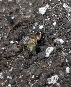 20230521_203957.jpg 20230521_203957.jpg