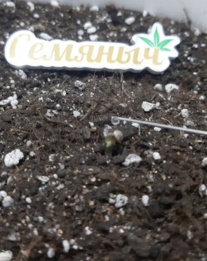 20230907_193317.jpg 20230907_193317.jpg