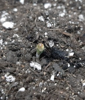 20230521_204141.jpg 20230521_204141.jpg