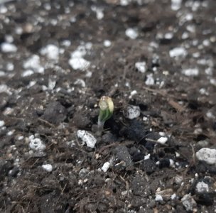 20230521_204404.jpg 20230521_204404.jpg