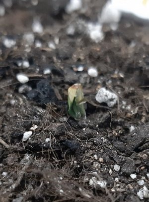 20230521_204233.jpg 20230521_204233.jpg