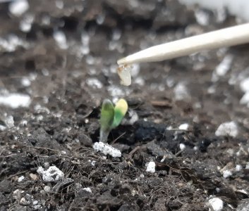 20230521_204435.jpg 20230521_204435.jpg