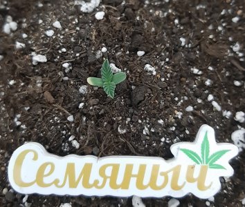 20230907_201018.jpg 20230907_201018.jpg