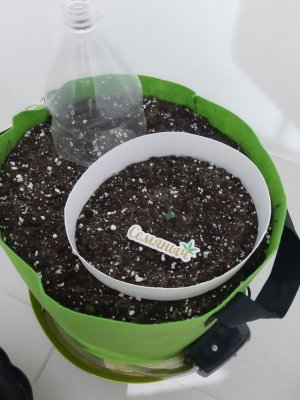 20230907_201129.jpg 20230907_201129.jpg