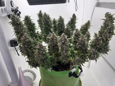 20230907_201430.jpg 20230907_201430.jpg