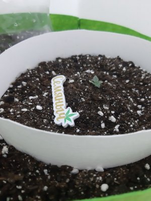 20230907_201223.jpg 20230907_201223.jpg