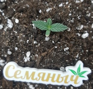 20230909_121719.jpg 20230909_121719.jpg