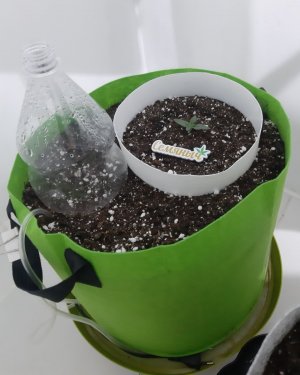 20230909_125711.jpg 20230909_125711.jpg