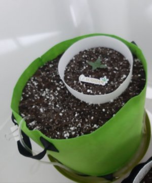 20230909_130013.jpg 20230909_130013.jpg