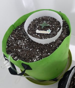 20230910_115259.jpg 20230910_115259.jpg