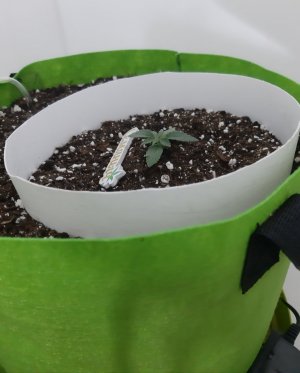 20230910_115228.jpg 20230910_115228.jpg