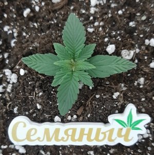 20230910_115321.jpg 20230910_115321.jpg