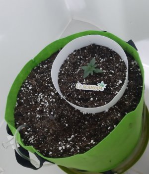 20230910_115740.jpg 20230910_115740.jpg