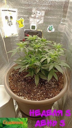 Picsart_23-09-08_07-42-32-526.jpg Picsart_23-09-08_07-42-32-526.jpg