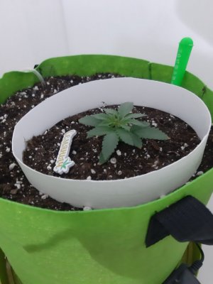 20230910_130900.jpg 20230910_130900.jpg