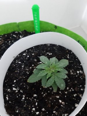 20230910_131013.jpg 20230910_131013.jpg