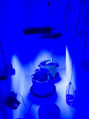 20230910_131029.jpg 20230910_131029.jpg