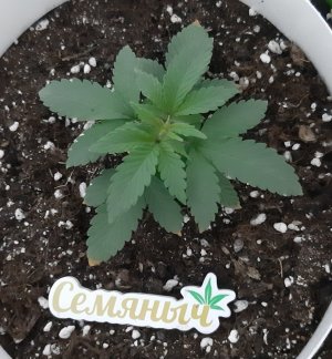 20230604_170238.jpg 20230604_170238.jpg