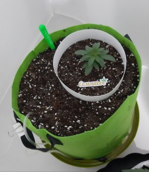 20230910_132203.jpg 20230910_132203.jpg