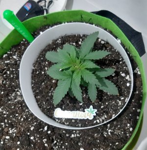 20230911_210932.jpg 20230911_210932.jpg