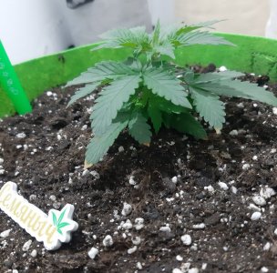 20230911_211055.jpg 20230911_211055.jpg