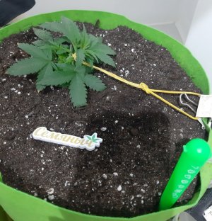 20230911_211924.jpg 20230911_211924.jpg