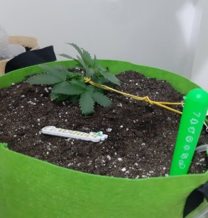 20230911_211852.jpg 20230911_211852.jpg