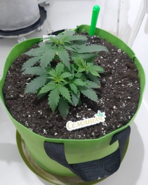 20230912_200258.jpg 20230912_200258.jpg