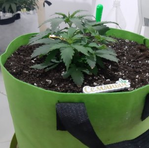 20230912_200241.jpg 20230912_200241.jpg