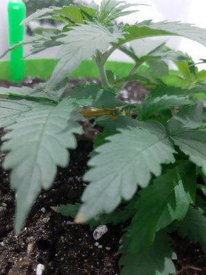 20230912_200221.jpg 20230912_200221.jpg