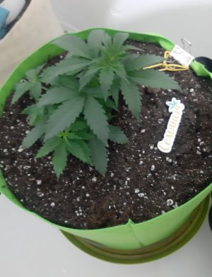 20230912_202804.jpg 20230912_202804.jpg